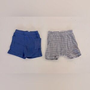 Kate Quinn Shorts